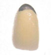 image02
