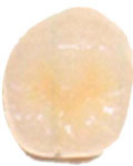 image02