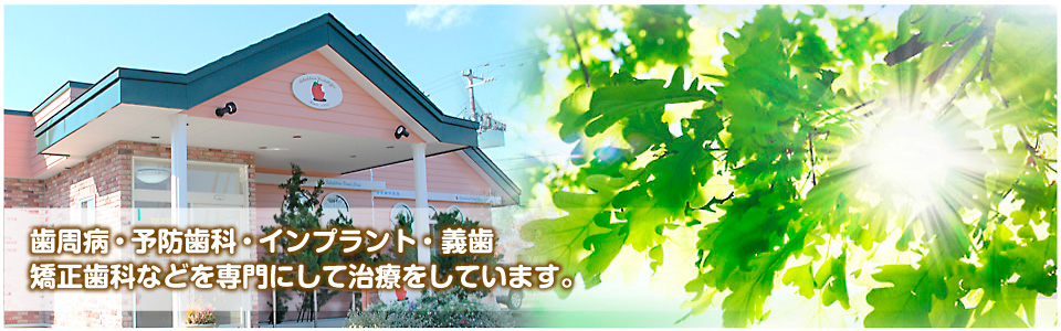 main banner